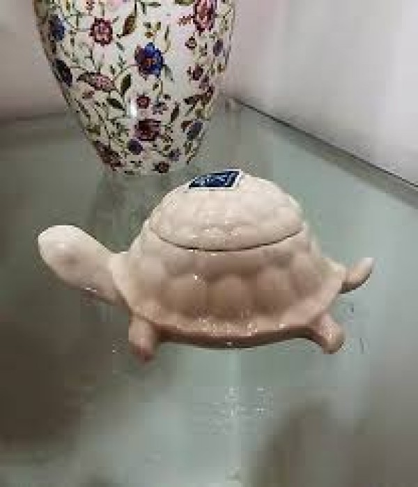 SCATOLA TARTARUGA